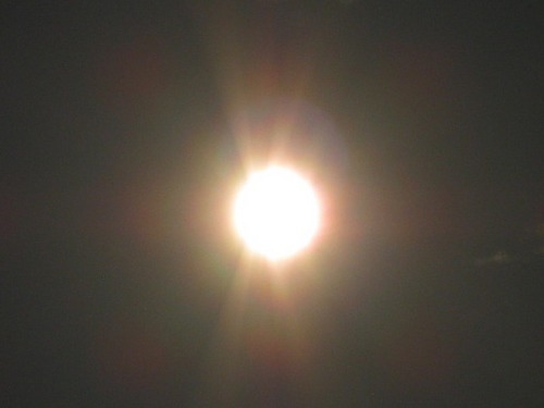 IMG_0579金環日食.jpg